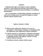 Ugdymo veiksniai ir veikėjai 4 puslapis