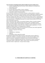 Žmogiškasis kapitalas, jo formavimas ir vertinimas ekonomikoje 11 puslapis