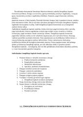 Žmogiškasis kapitalas, jo formavimas ir vertinimas ekonomikoje 12 puslapis