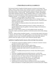 Žmogiškasis kapitalas, jo formavimas ir vertinimas ekonomikoje 8 puslapis