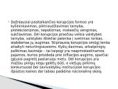 Korupcija tai tobulas liūnas 5 puslapis