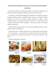 Kelionės į Monaką organizavimas 15 puslapis