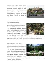 Kelionės į Monaką organizavimas 17 puslapis