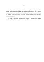 Kelionės į Monaką organizavimas 3 puslapis