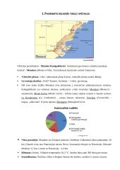 Kelionės į Monaką organizavimas 4 puslapis