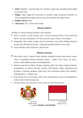 Kelionės į Monaką organizavimas 5 puslapis