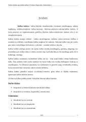 Žargonybės, sementizmai 2 puslapis