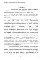 Žargonybės, sementizmai 3 puslapis