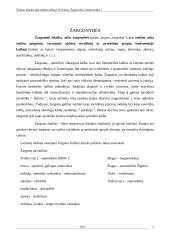 Žargonybės, sementizmai 5 puslapis