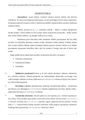 Žargonybės, sementizmai 6 puslapis