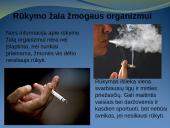 Rūkymo poveikis ir žala organizmui  2 puslapis