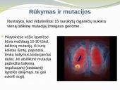 Rūkymo poveikis ir žala organizmui  6 puslapis