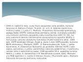 Partizaninis karas Lietuvoje skaidrės 11 puslapis