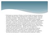 Partizaninis karas Lietuvoje skaidrės 7 puslapis