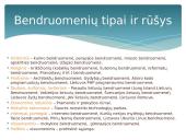 Kaip gyveni bendruomenėje 3 puslapis