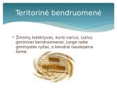 Kaip gyveni bendruomenėje 4 puslapis