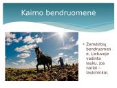 Kaip gyveni bendruomenėje 5 puslapis