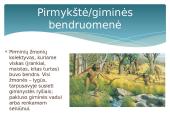 Kaip gyveni bendruomenėje 6 puslapis