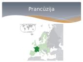 Vakarų Europos bruožai 16 puslapis