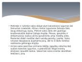 Vakarų Europos bruožai 6 puslapis