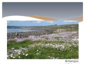 Vakarų Europos bruožai 7 puslapis