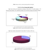 Tez Tour mikro makro aplinka 13 puslapis