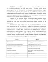 Tez Tour mikro makro aplinka 16 puslapis