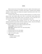 Tez Tour mikro makro aplinka 3 puslapis