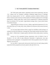 Tez Tour mikro makro aplinka 4 puslapis