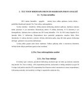 Tez Tour mikro makro aplinka 5 puslapis