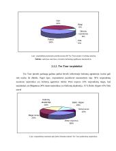 Tez Tour mikro makro aplinka 6 puslapis