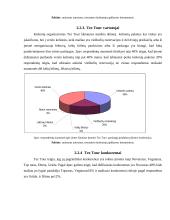 Tez Tour mikro makro aplinka 7 puslapis