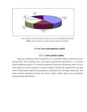 Tez Tour mikro makro aplinka 8 puslapis