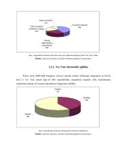 Tez Tour mikro makro aplinka 9 puslapis
