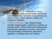 Turizmas pasaulyje 20 puslapis