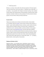 Kaip studijuoti 7 puslapis