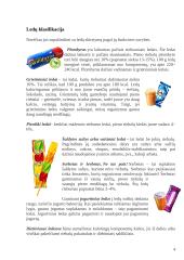 Valgomųjų ledų sudėties ir savybių kitimo ir vertės analizė 4 puslapis
