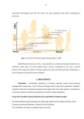 Asmeninių finansų planavimas 12 puslapis