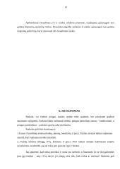 Asmeninių finansų planavimas 14 puslapis