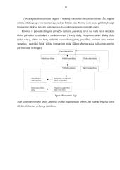 Asmeninių finansų planavimas 16 puslapis