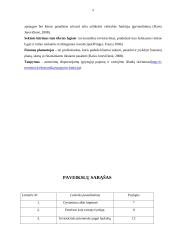 Asmeninių finansų planavimas 3 puslapis