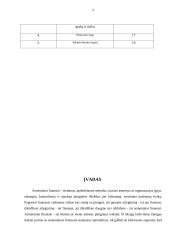 Asmeninių finansų planavimas 4 puslapis