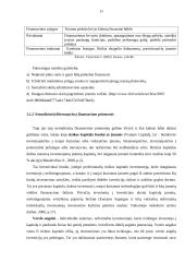 Rizikos kapitalo fondas, kaip alternatyvi verslo finansavimo priemonė 11 puslapis