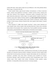 Rizikos kapitalo fondas, kaip alternatyvi verslo finansavimo priemonė 15 puslapis