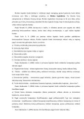 Rizikos kapitalo fondas, kaip alternatyvi verslo finansavimo priemonė 16 puslapis