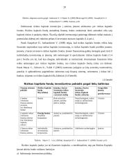 Rizikos kapitalo fondas, kaip alternatyvi verslo finansavimo priemonė 20 puslapis