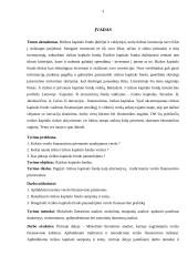 Rizikos kapitalo fondas, kaip alternatyvi verslo finansavimo priemonė 3 puslapis