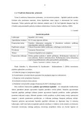 Rizikos kapitalo fondas, kaip alternatyvi verslo finansavimo priemonė 6 puslapis