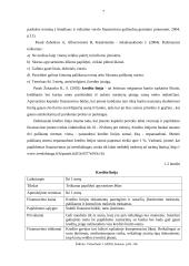 Rizikos kapitalo fondas, kaip alternatyvi verslo finansavimo priemonė 7 puslapis