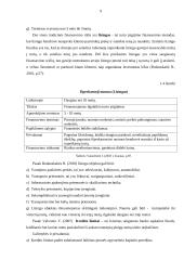 Rizikos kapitalo fondas, kaip alternatyvi verslo finansavimo priemonė 9 puslapis